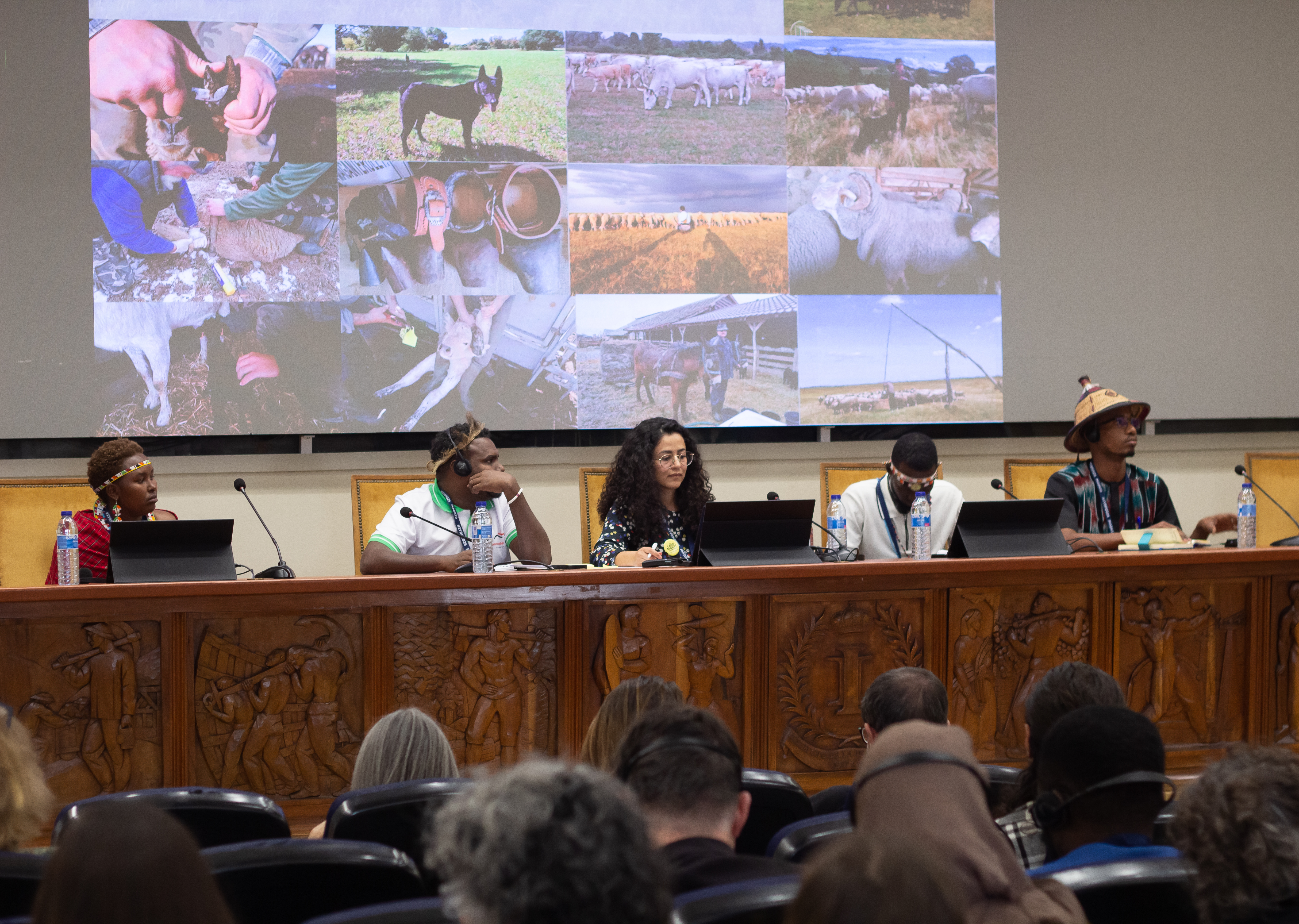 Event Gallery - IYRP 2026